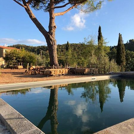 Operaviva Villa Suvereto Bagian luar foto