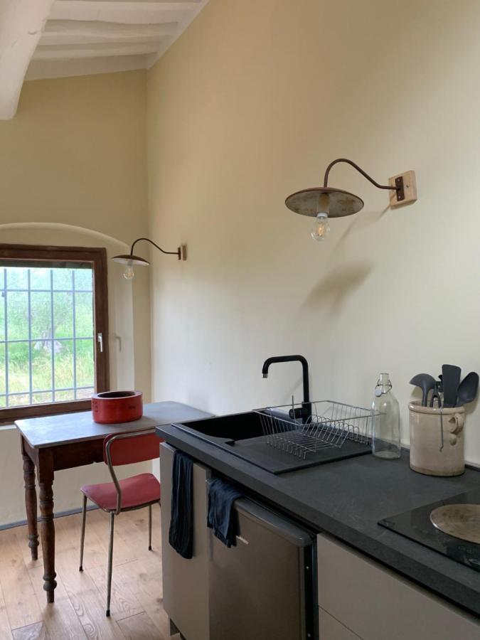 Operaviva Villa Suvereto Bagian luar foto