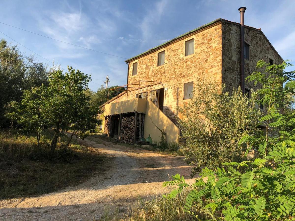 Operaviva Villa Suvereto Bagian luar foto