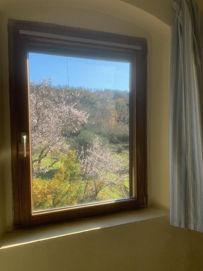 Operaviva Villa Suvereto Bagian luar foto